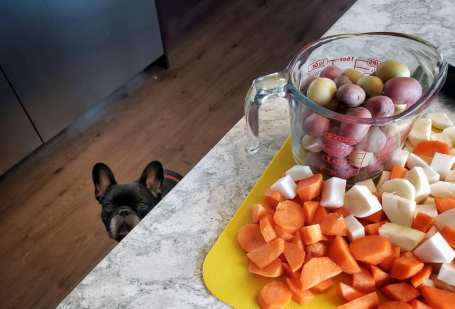 72570416_10156170898741853_5308437354308960256_n